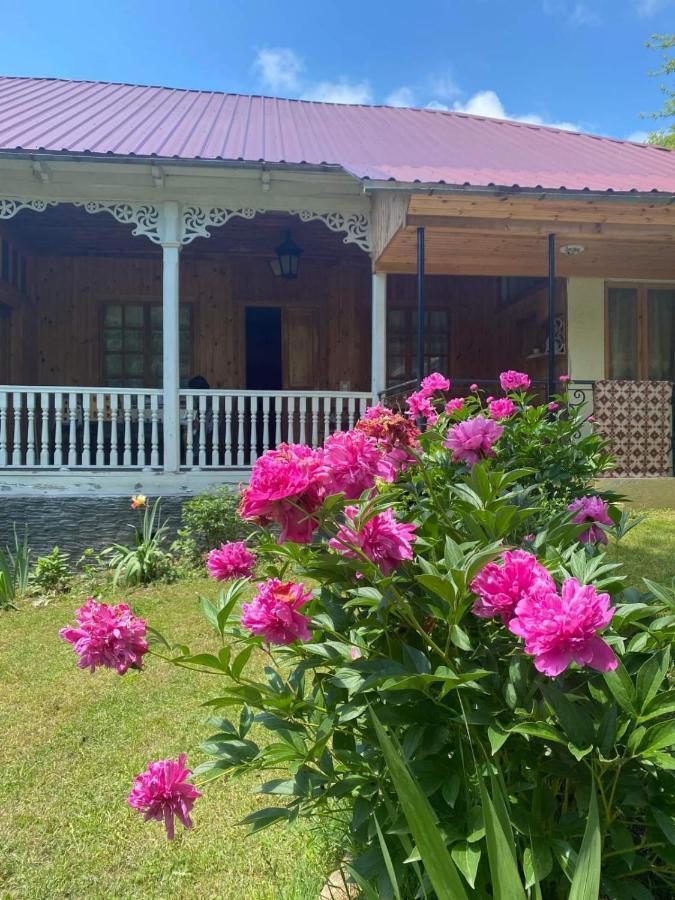 Guest House Lailashi Surmushi Kültér fotó