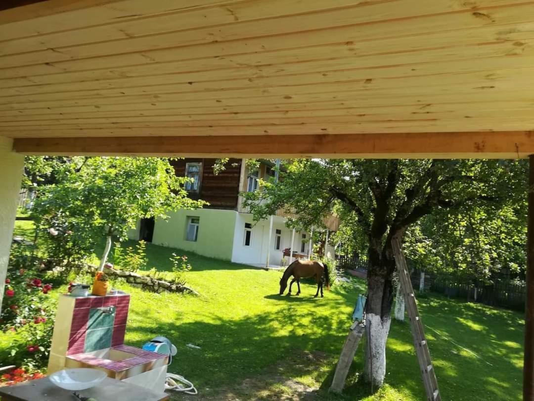 Guest House Lailashi Surmushi Kültér fotó