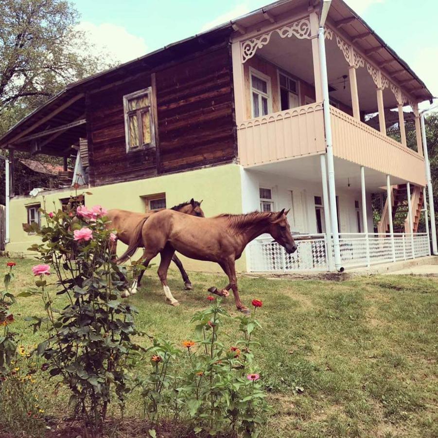 Guest House Lailashi Surmushi Kültér fotó